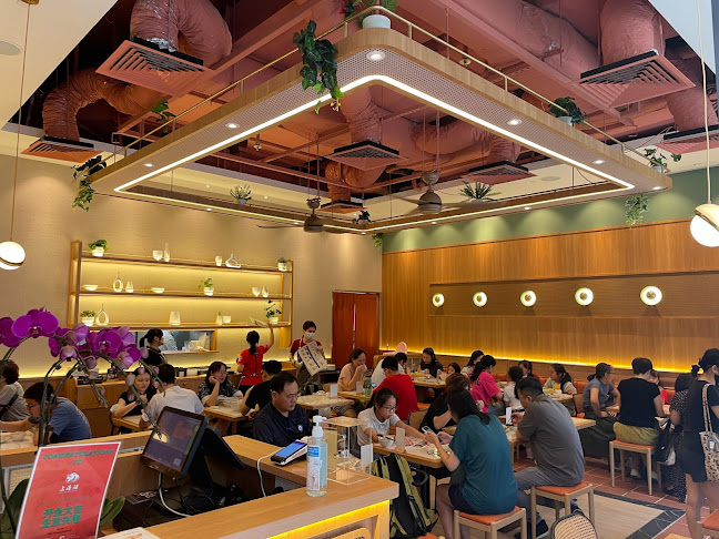 Shanghai Tan Pan-fried Bun 上海滩生煎包 - Hospitality and gastronomy