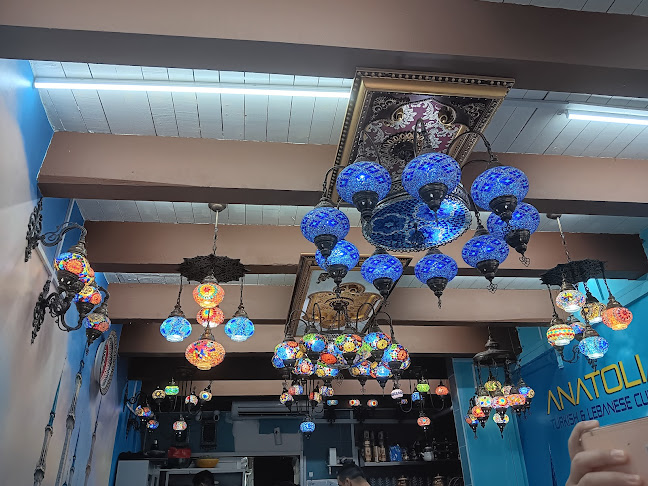 Comentarii opinii despre Anatolia Restaurant SG