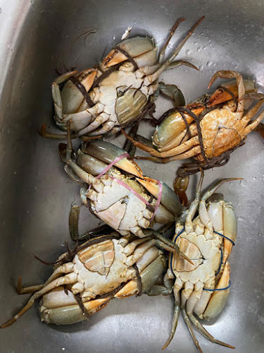 Opinii despre YYF CRABS în Singapore - Hospitality and gastronomy