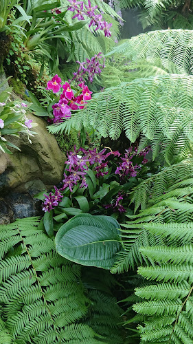 Comentarii opinii despre The Halia at Singapore Botanic Gardens