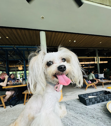 Comentarii opinii despre Brewerkz East Coast Park