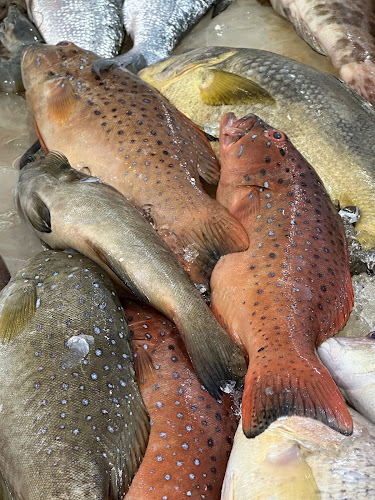 30 Seng Poh Rd, Singapore 168898