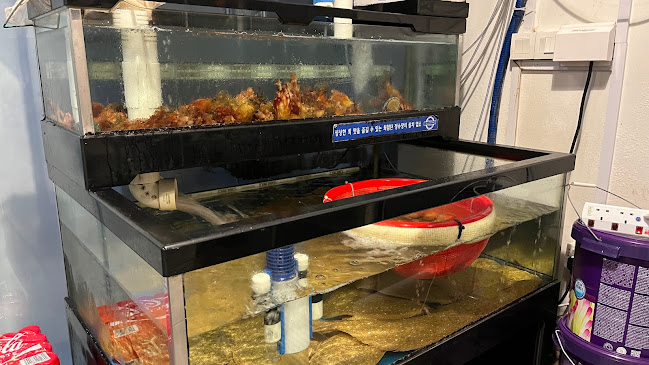 Pohang Seafood & Butchery - Singapore