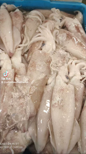 Opinii despre YS Fresh Seafood Market în Singapore - Hospitality and gastronomy