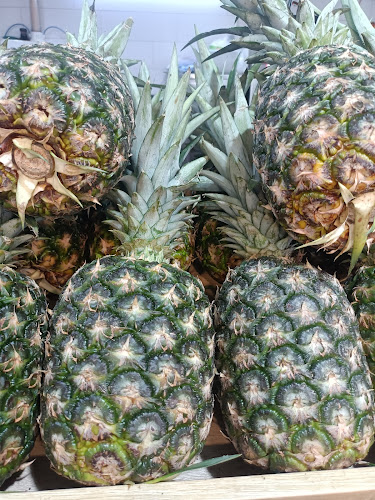 Soon Fruit Supplier - Hospitality and gastronomy