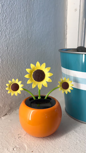 Comentarii opinii despre Earlybird