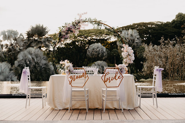 Vineyard - Hospitality and gastronomy