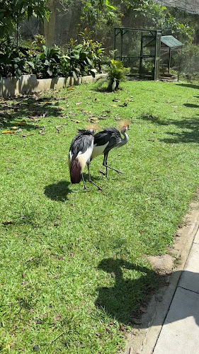 Kei Kaisendon Jewel Changi Airport - Singapore