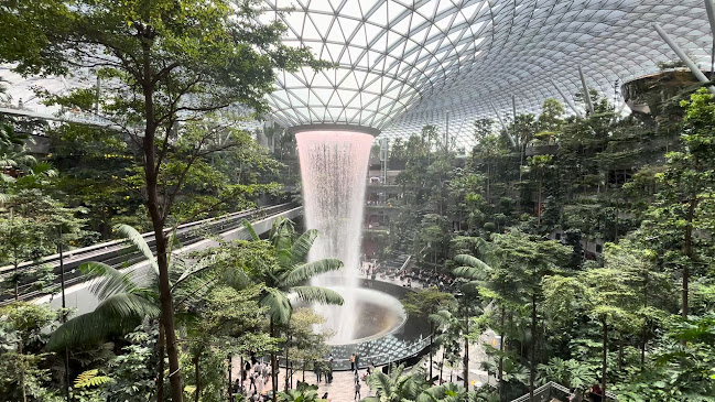 78 Airport Blvd., #04-231/232, Singapore 819666