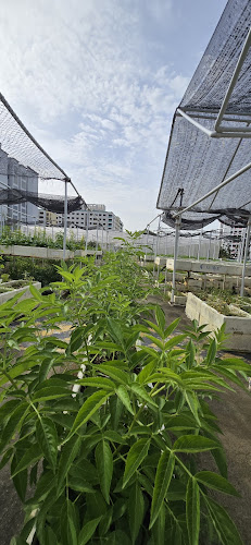 Blk 351 Canberra Rd, Level 6A, Singapore 753351