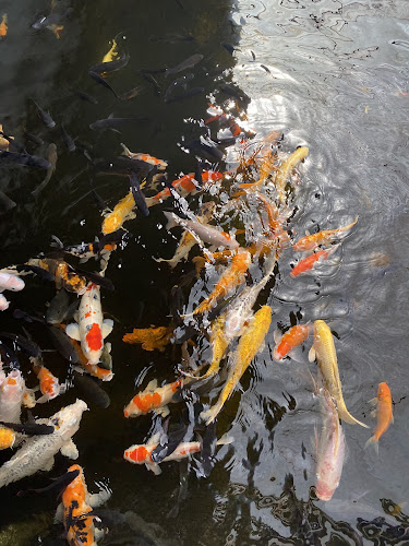 Opinii despre N L Technology Vegetables Farm în Singapore - Hospitality and gastronomy