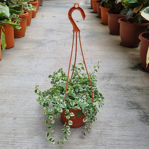 Blk 106 Yishun Ring Rd, #01-161, Singapore 760106