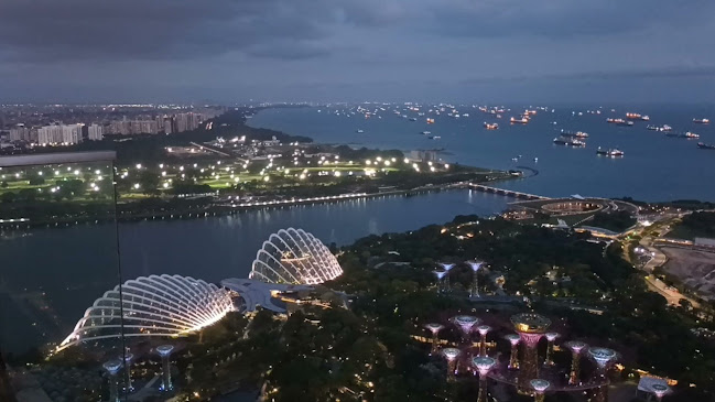 LAVO Italian Restaurant And Rooftop Bar - Hospitality and gastronomy