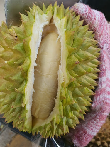 Durian Shop Yishun | Jero Durian Singapore - Singapore