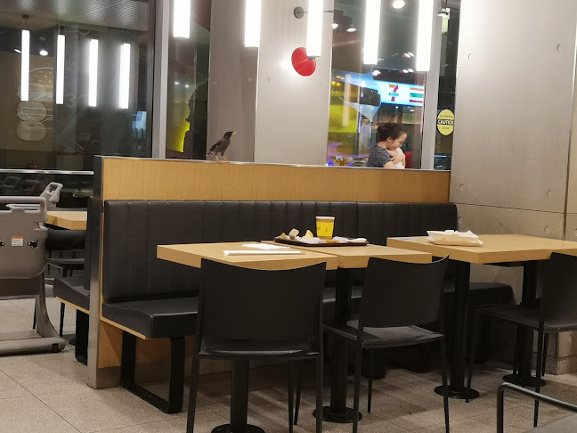 Blk 681 Punggol Dr., #02-37/38 Oasis Terraces, Singapore 821669