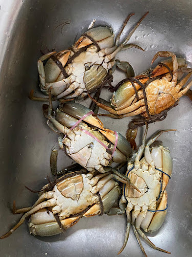 Opinii despre YYF CRABS în Singapore - Hospitality and gastronomy