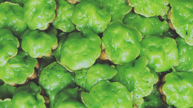 Opinii despre Baan Kanom Thai @ ARC380 în Singapore - Hospitality and gastronomy