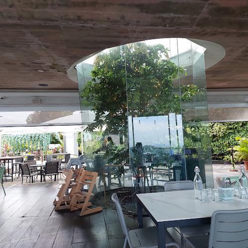 Comentarii opinii despre Arbora @ Mount Faber Peak