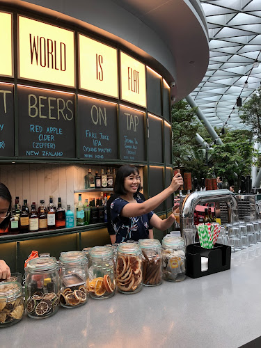 Comentarii opinii despre The World is Flat