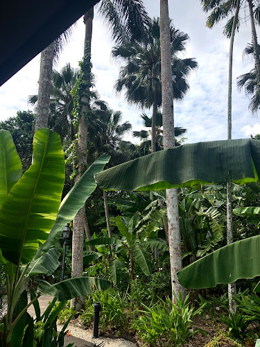 The Halia at Singapore Botanic Gardens - Singapore