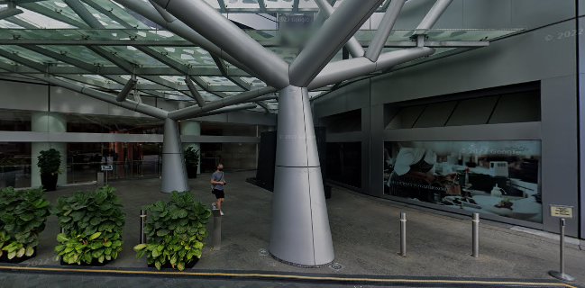 Comentarii opinii despre Vivino Wine Shop Singapore