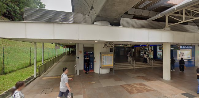 Star Grazing - Singapore