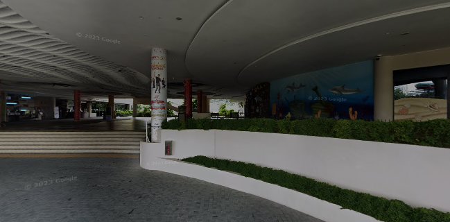 The Project Collective - Singapore