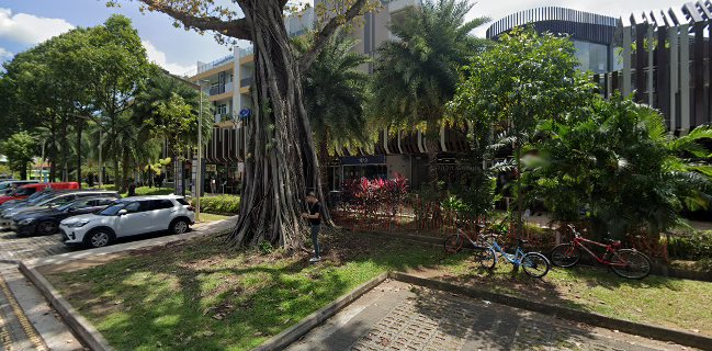 Café Cartisan Specialty Coffee