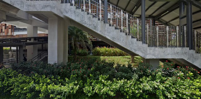 Downstairs - Northshore Plaza 1