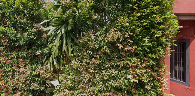 No.5 Emerald Hill - Hospitality and gastronomy