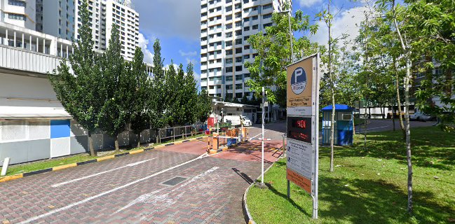 Jiu You Ji Mixed Vegetable Rice - Singapore