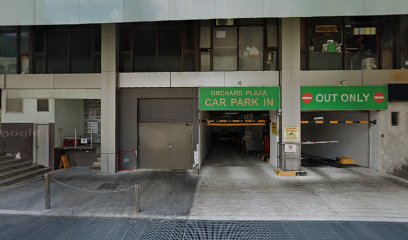 Legendary Orchard Plaza Mixed Rice