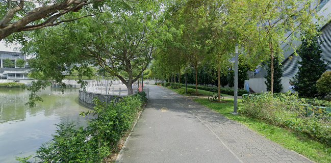 Warabimochi Kamakura