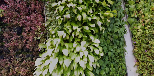 Opinii despre Starbucks ION Orchard în Singapore - Hospitality and gastronomy