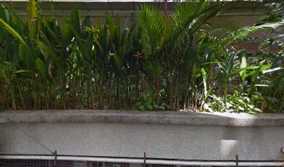 Ocean and Everest Capital Pte Ltd