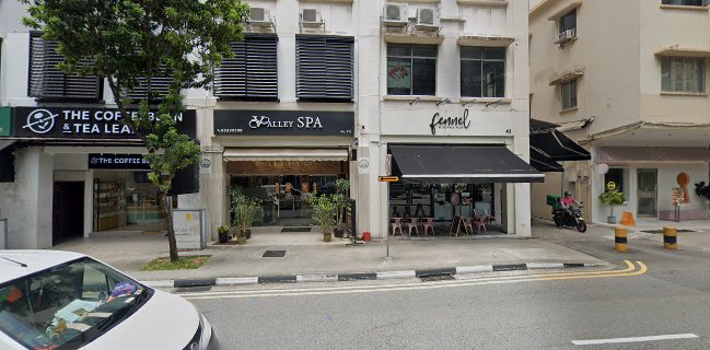 fennel by komala vilas