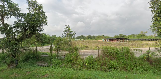 Opinii despre Ong Wee Chorng Vegetable în Singapore - Hospitality and gastronomy