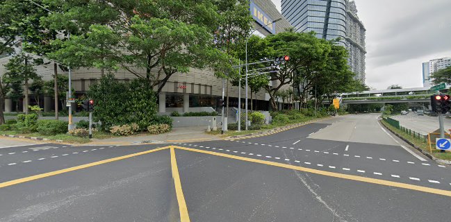 Duck King Teochew Kway Chap (鸭皇)