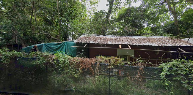 2 Andover Rd, Singapore 509984